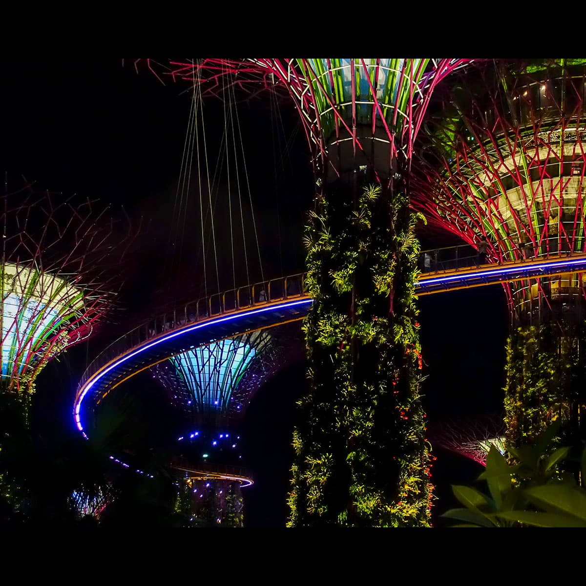 Gardens by the Bay · Singapore